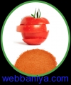 2098381584_Seasoning Masala.png